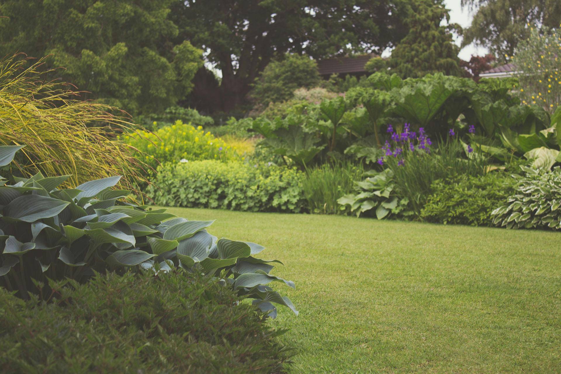 Effortless Lawn Care: The Smart Automatic Lawn Mower Robot