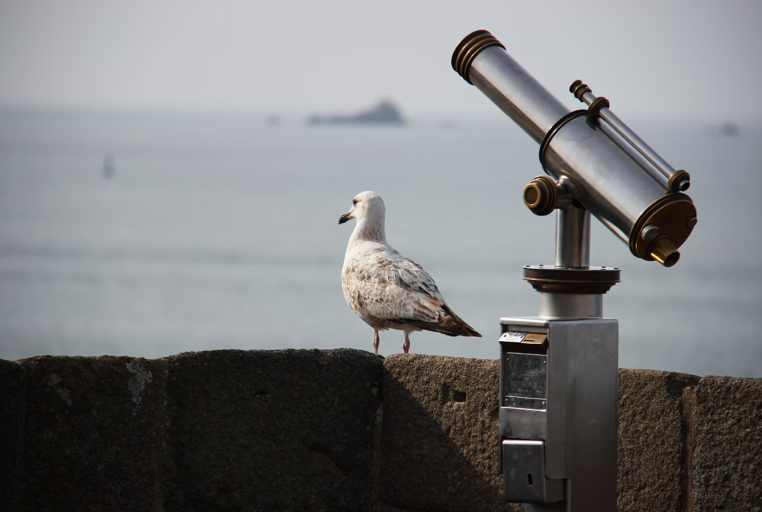 Can You Leave A Telescope Outside? (Explained)