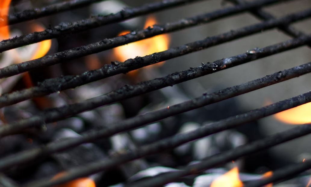 What to Do When Your BBQ Grill Has Mold